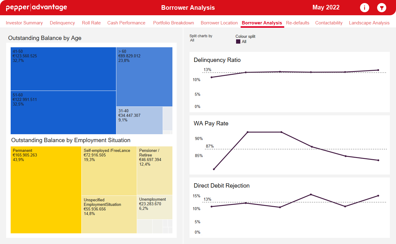 Borrower Analysis